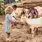 iconbg4